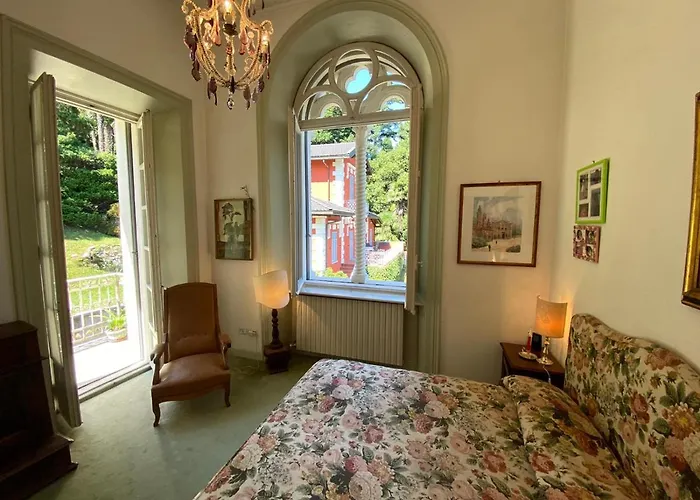 Liberty 스트레사